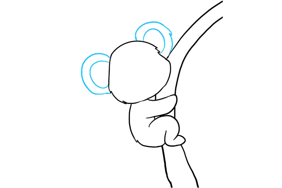 步骤8：画出考拉的大而毛茸茸的耳朵。通过在头部的每一侧绘制“ C”形线来围成圆形。围绕第一个圆形。让线条重叠一点，给人以毛皮的感觉。