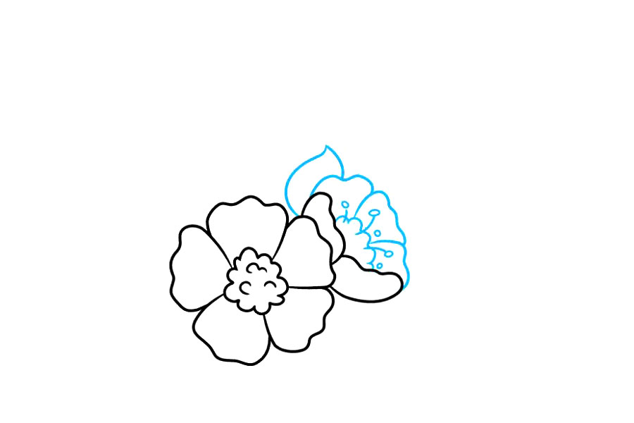 步骤3：从另一个角度绘制另一个花朵，这一次。使用波浪线在上一步绘制的花瓣之间绘制圆形中心。使用波浪形的曲线在中心周围勾勒出另外三个花瓣。从中心延伸曲线，以指示花粉的花药。在彼此的末端绘制一个小椭圆形。在花朵旁边，延伸两条曲线，使它们汇合在一个点上，形成叶子。