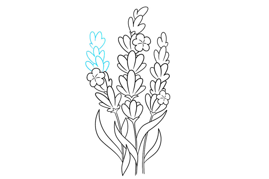 步骤9：用数个“ U”形花瓣层完成第三个茎。