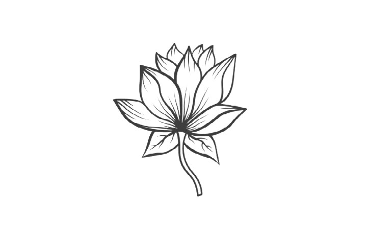 7种荷花的画法-图1