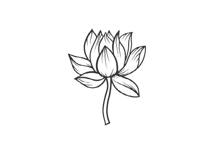 7种荷花的画法-图2