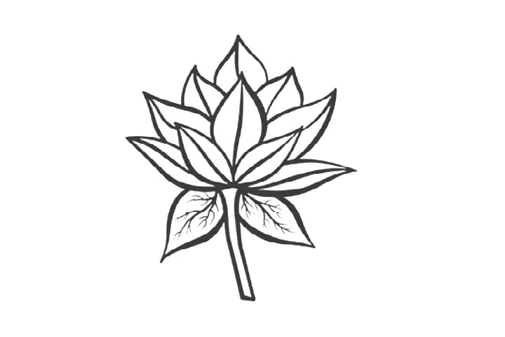 7种荷花的画法-图4