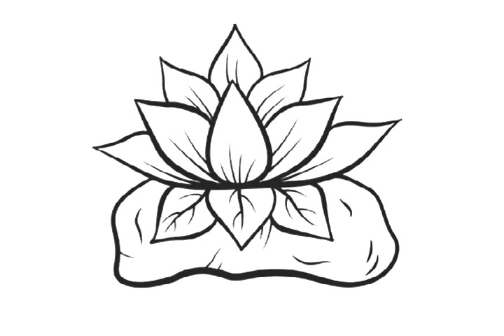 7种荷花的画法-图7