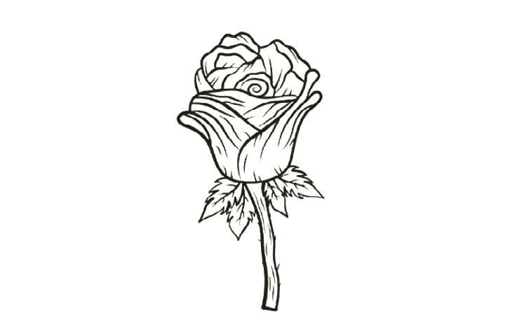 8种玫瑰花的画法-图2