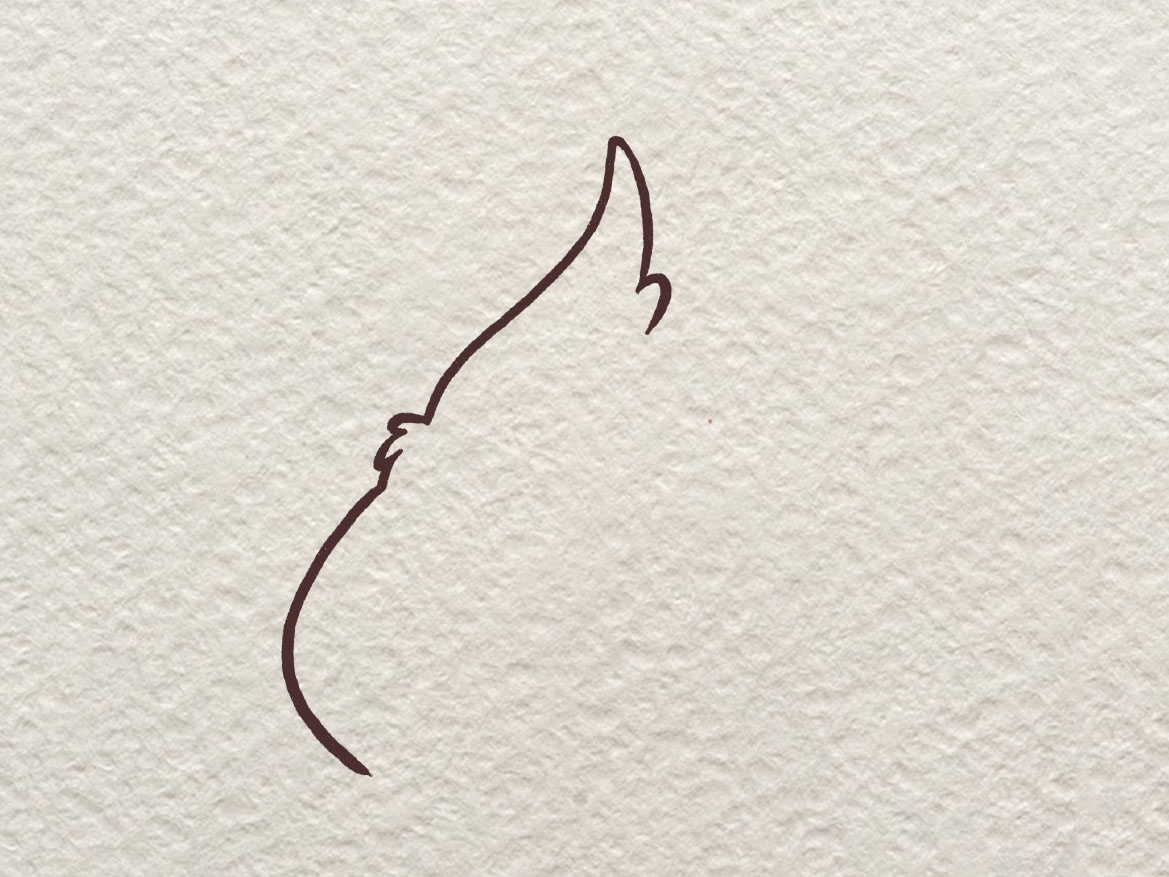 胖啾简笔画画法-图2