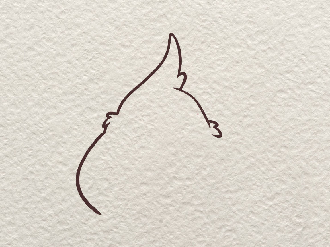 胖啾简笔画画法-图3