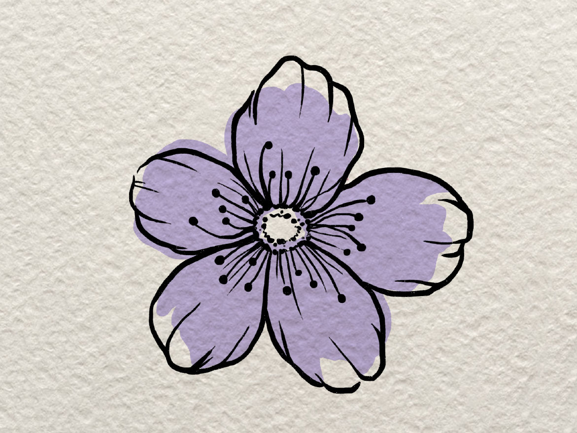 一朵小花花简笔画画法