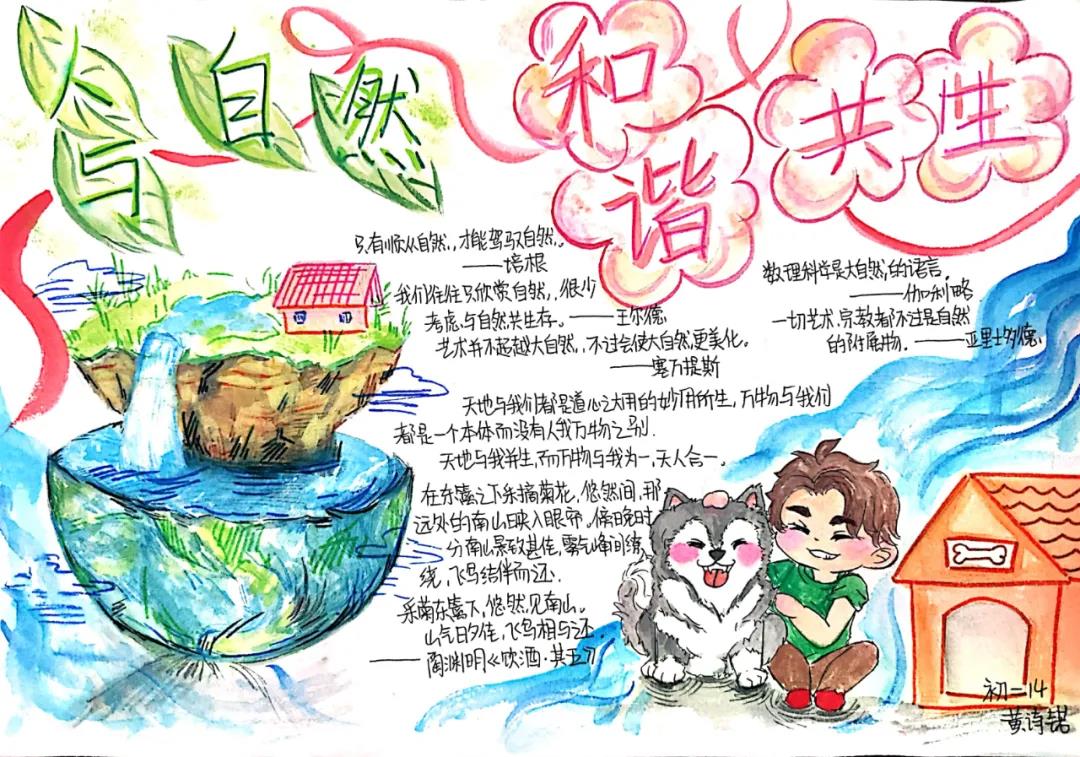 我的绿色家园手抄报-图2