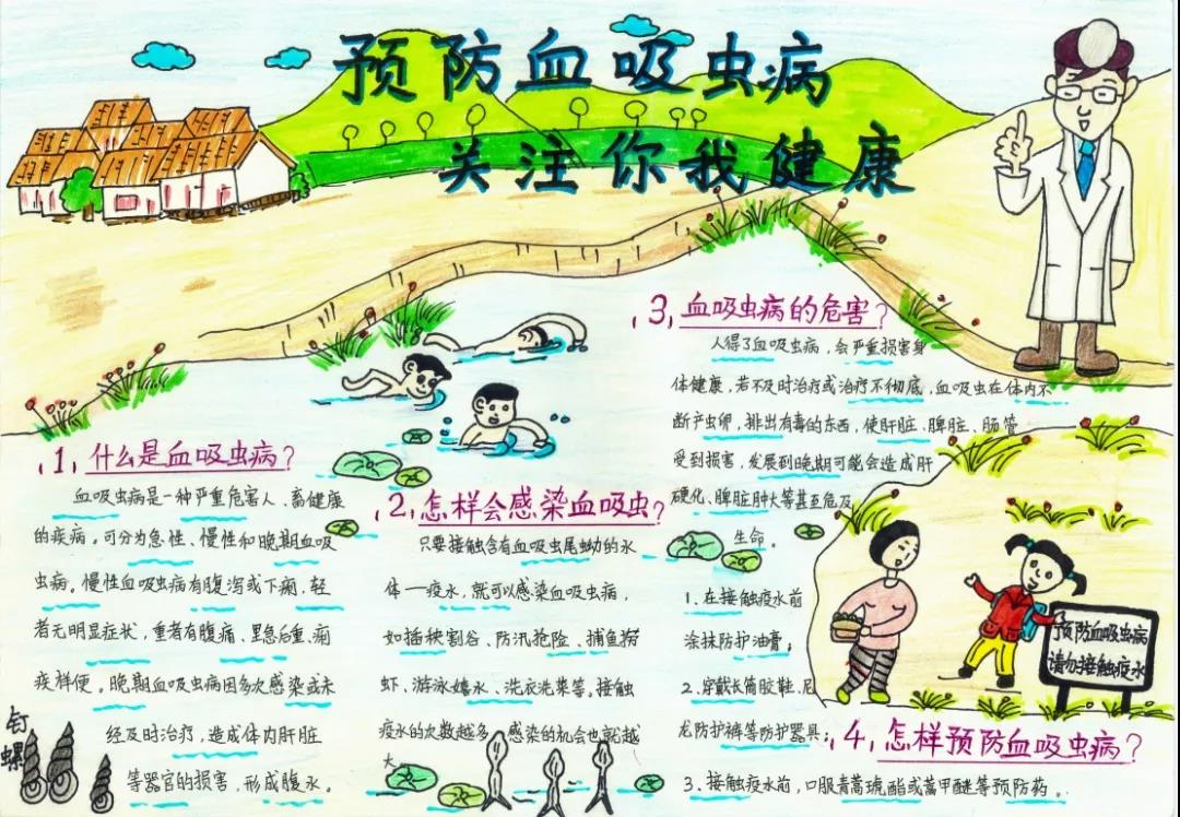 小学生血寄防知识手抄报-图4