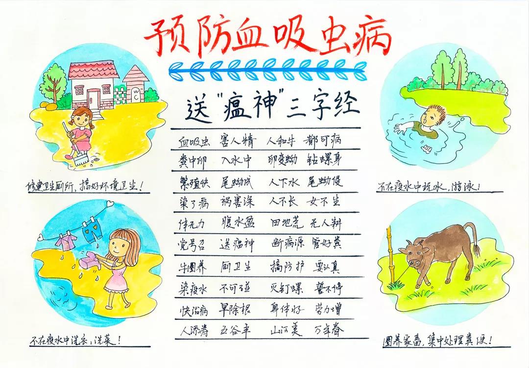 小学生血寄防知识手抄报-图5