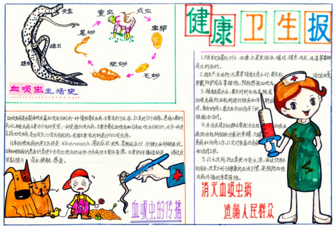 小学生血寄防知识手抄报-图6