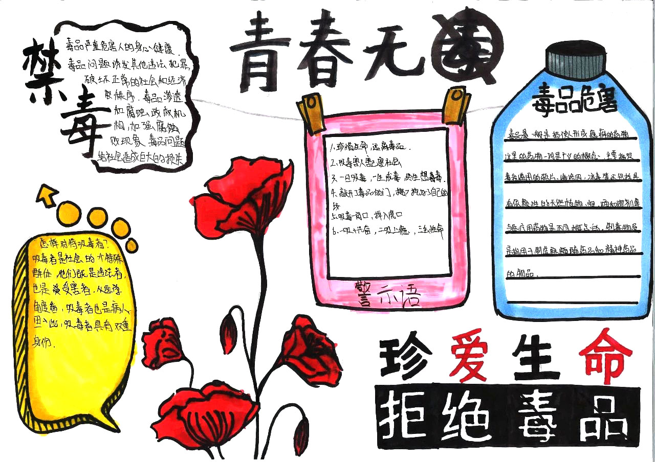 “无毒青春，健康人生”主题手抄报-图7