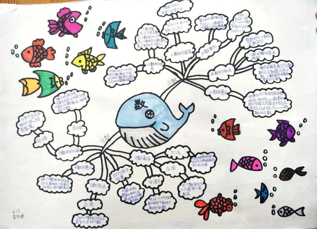 六年级数学思维导图手抄报-图10