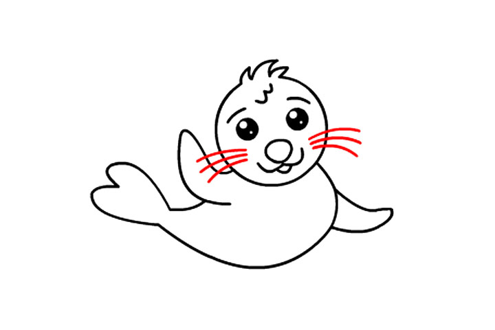 如何画可爱的海豹宝宝-图10