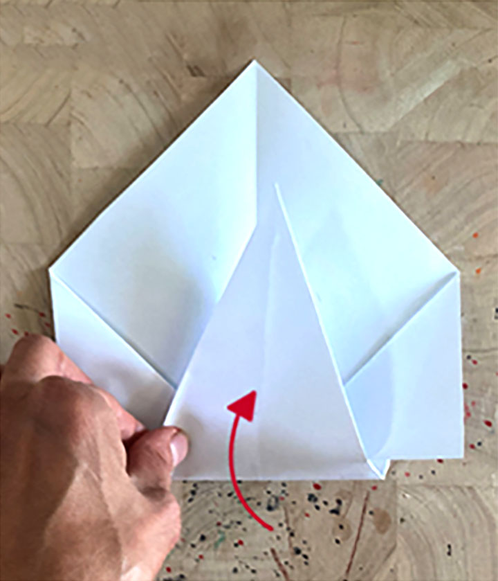 孔雀怎么折-图6