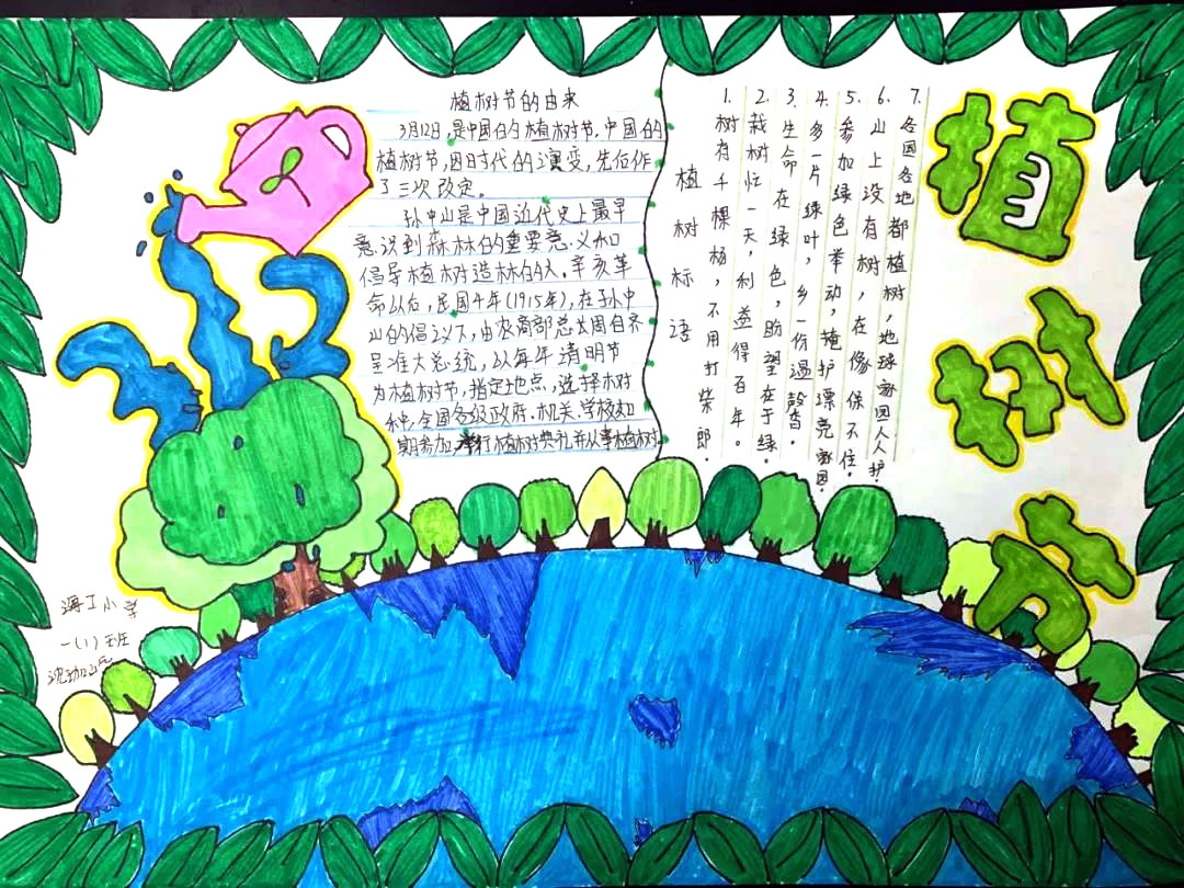 6张简单好画的植树节手抄报-图2