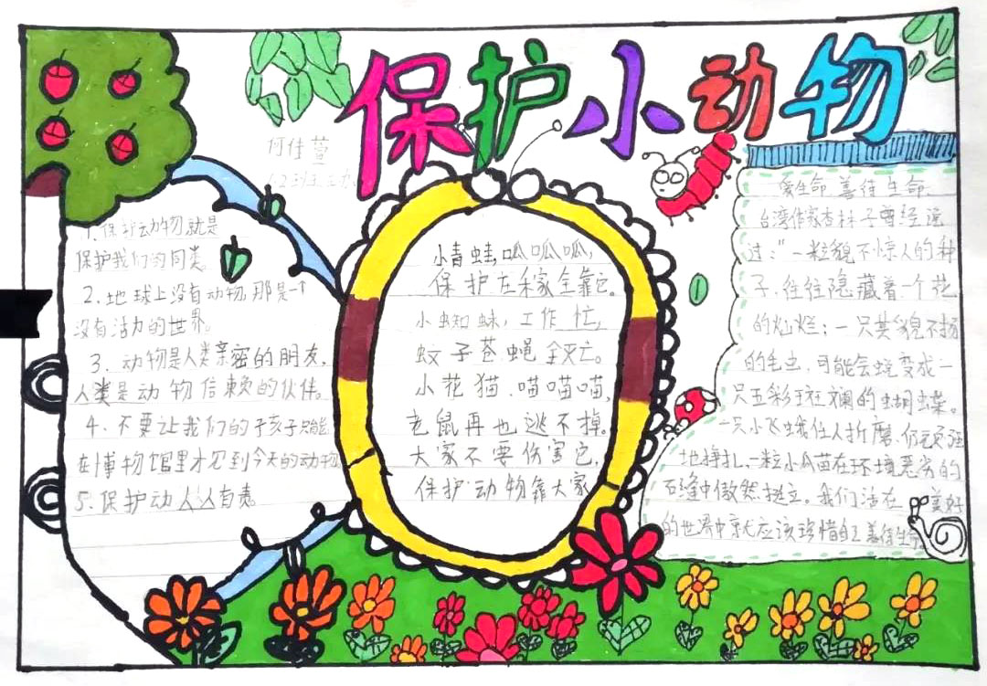 保护野生动物手抄报简单又漂亮-图1