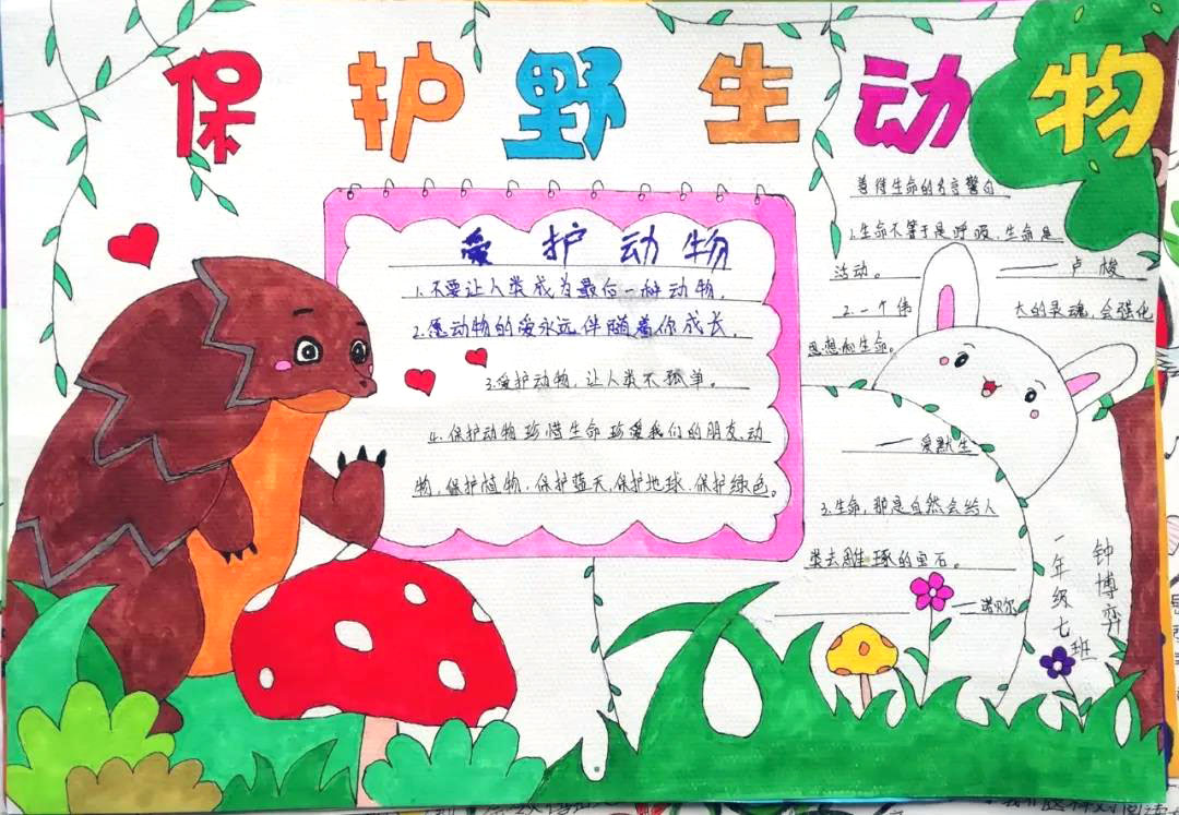 保护野生动物手抄报简单又漂亮-图2