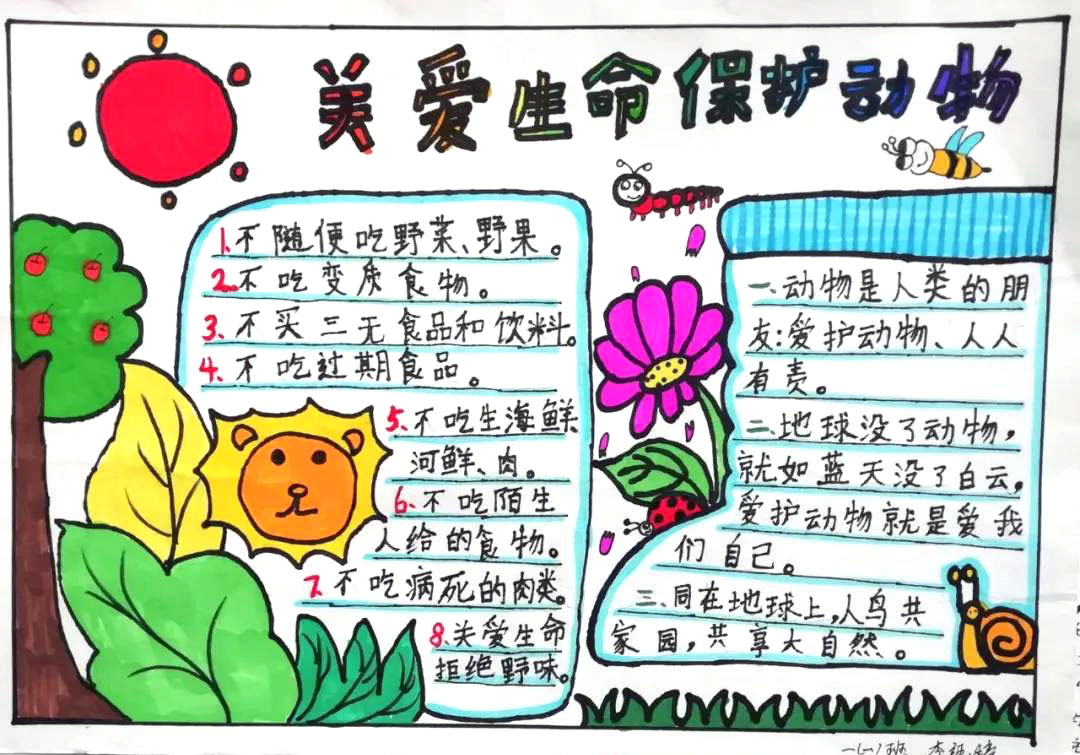 保护野生动物手抄报简单又漂亮-图7