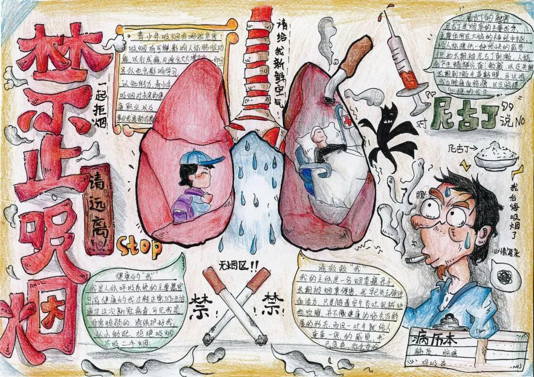 “珍爱生命，远离烟草”主题手抄报-图3