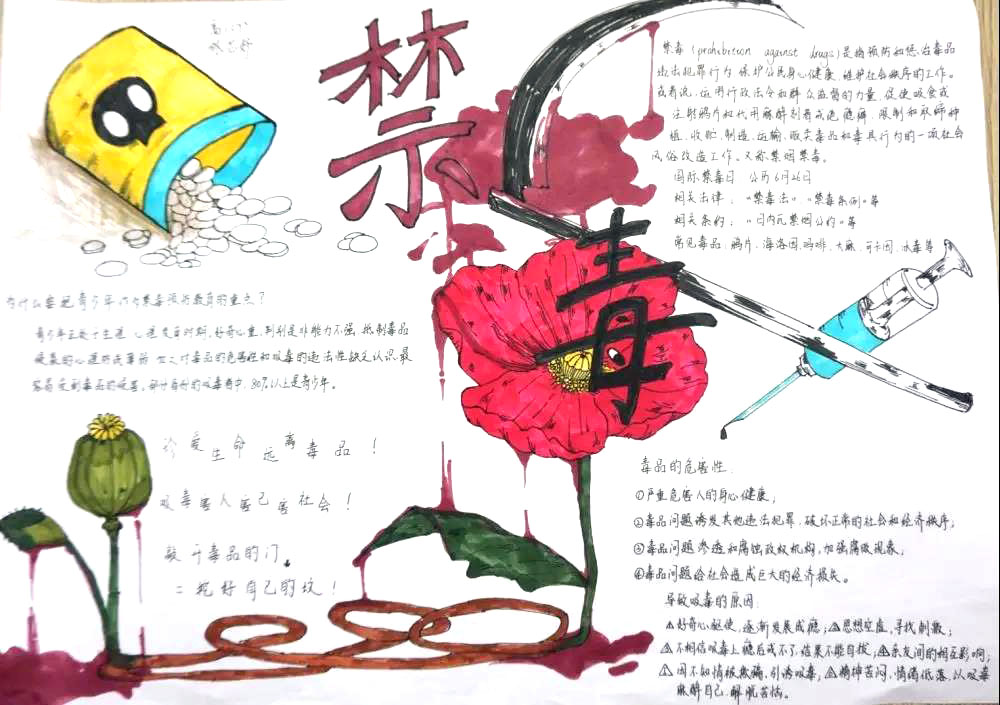 简单好画的禁毒教育手抄报-图3