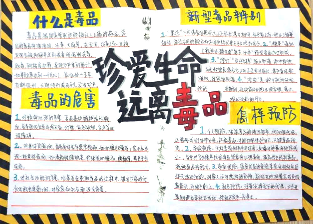 简单好画的禁毒教育手抄报-图4