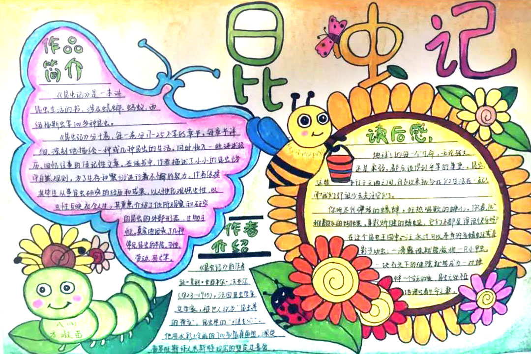 5张漂亮的昆虫记手抄报-图1