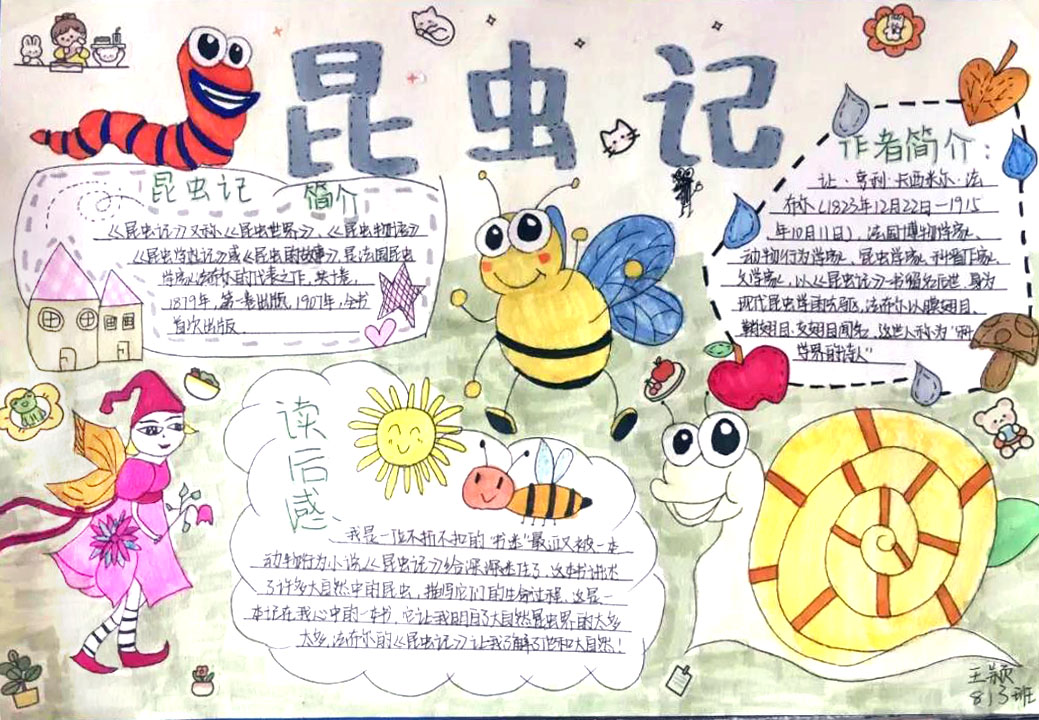 5张漂亮的昆虫记手抄报-图2