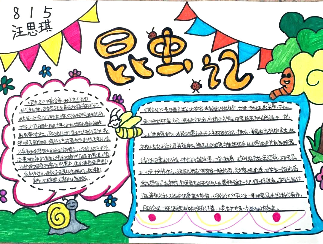 5张漂亮的昆虫记手抄报-图3