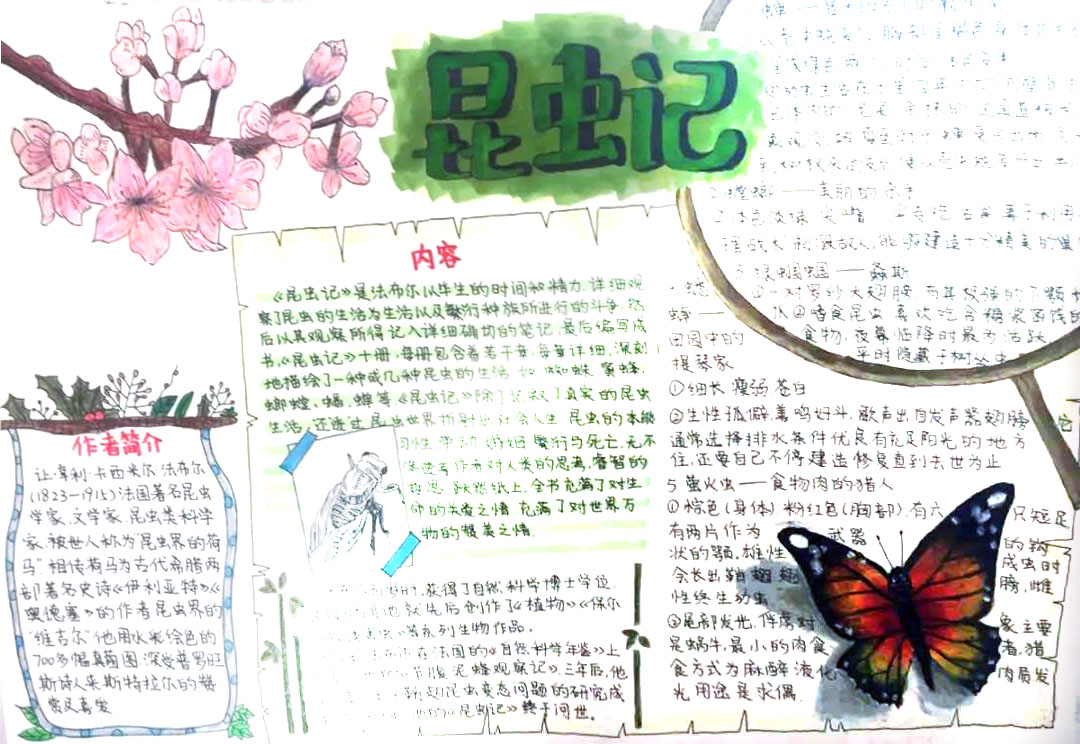 5张漂亮的昆虫记手抄报-图5