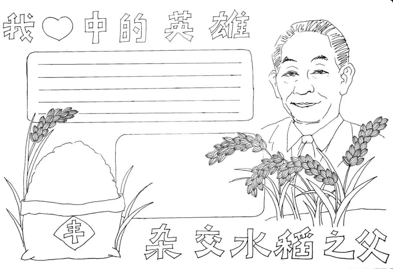 纪念杂交水稻之父——袁隆平的手抄报-图3