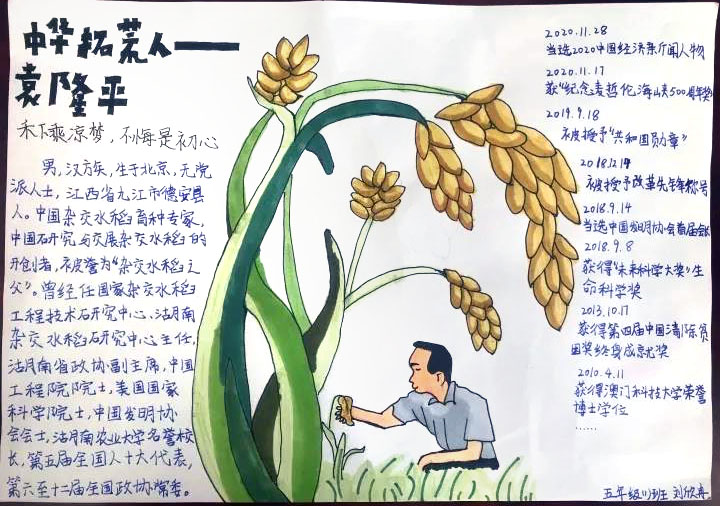 关于致敬袁隆平的手抄报图片-图4