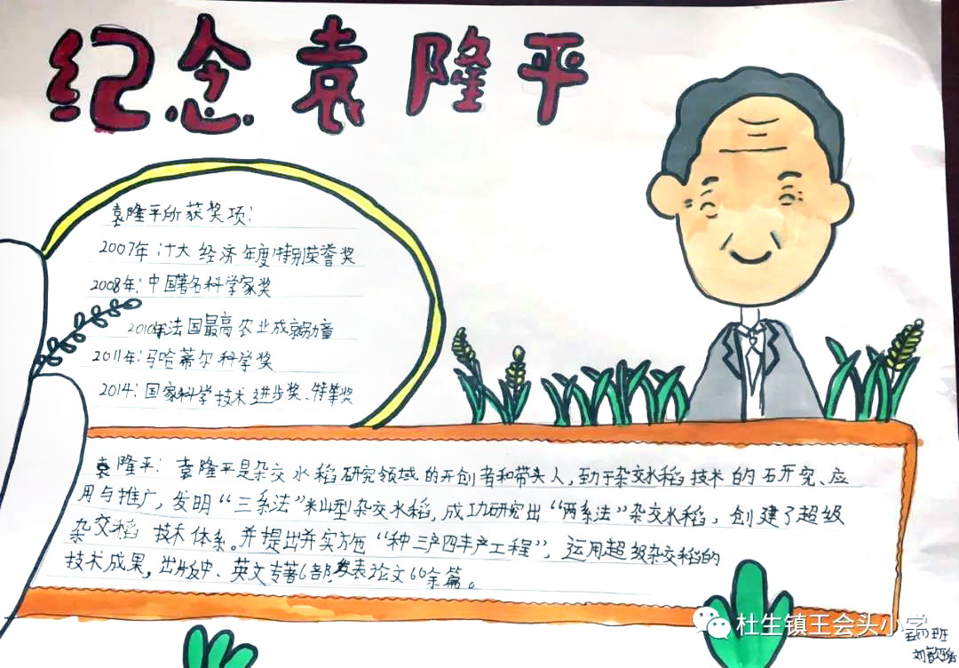 关于致敬袁隆平的手抄报图片-图6