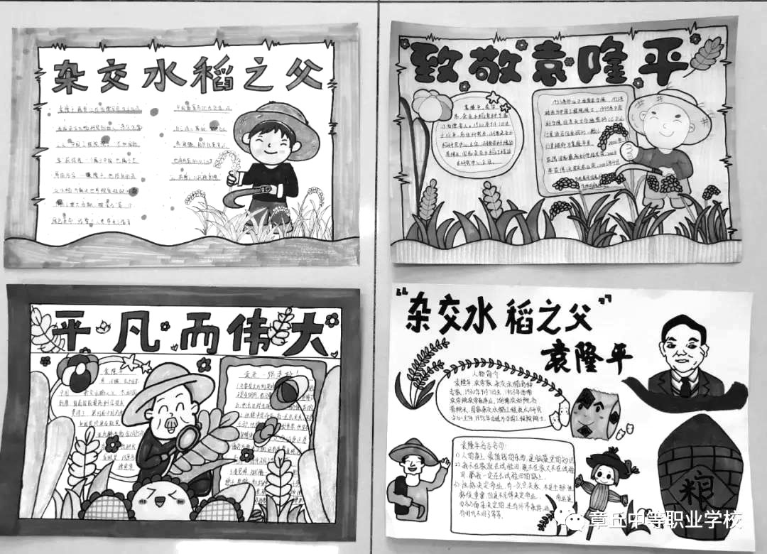 关于致敬袁隆平的手抄报图片-图10