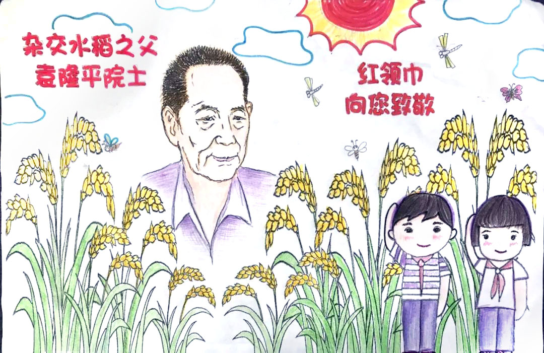 水稻之父手抄报简单-图2
