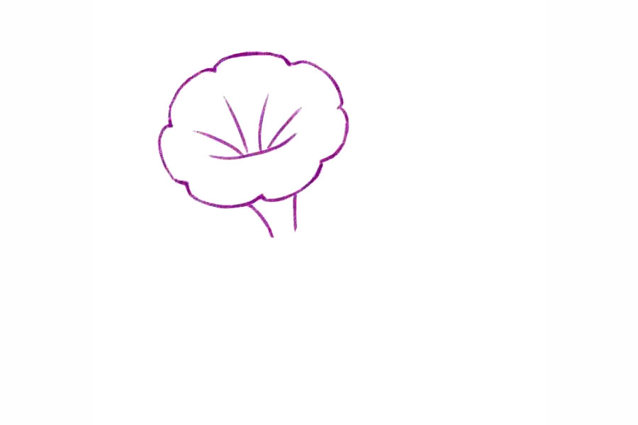 简单几笔画一朵美丽的牵牛花-图3
