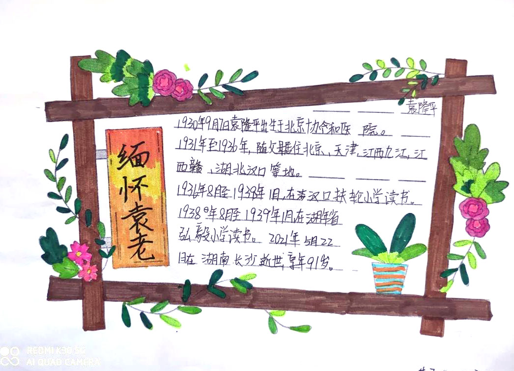 “致敬袁隆平爷爷”主题手抄报-图7