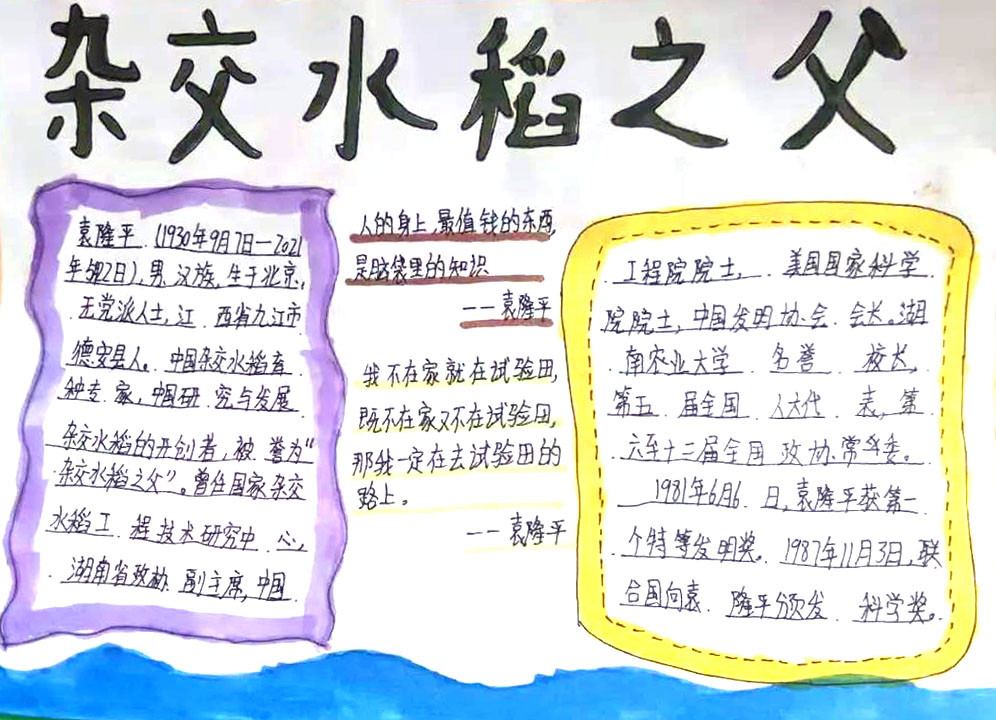 禾下乘凉梦-缅怀袁隆平爷爷手抄报-图4