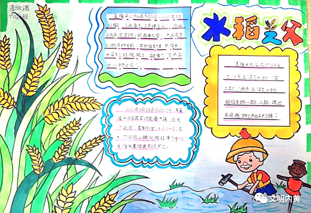 五年级缅怀袁隆平的手抄报图片-图3