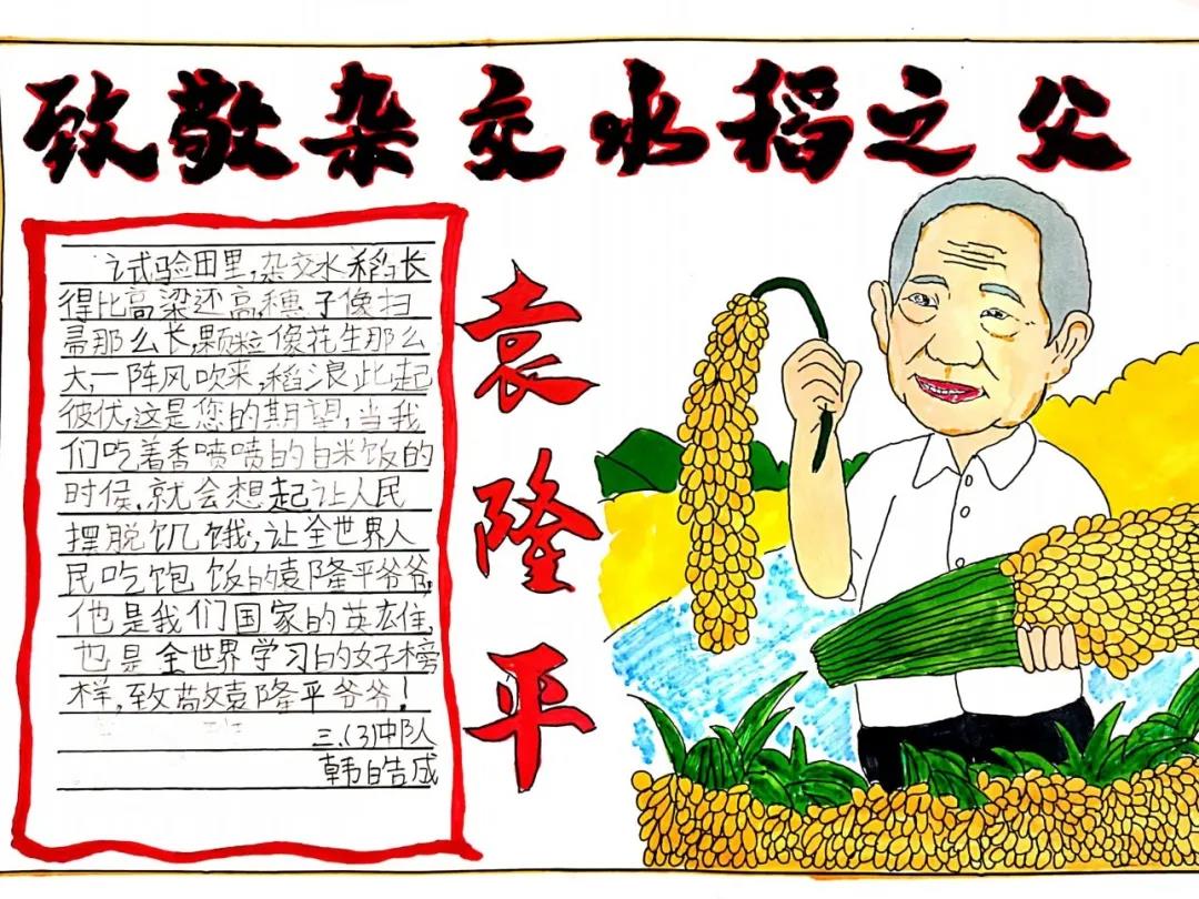 五年级缅怀袁隆平的手抄报图片-图7
