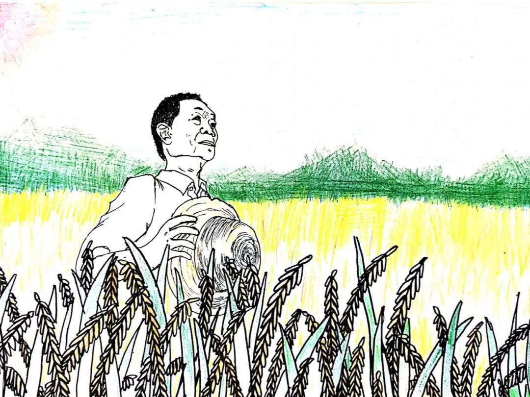 缅怀袁隆平爷爷手抄报绘画-图1