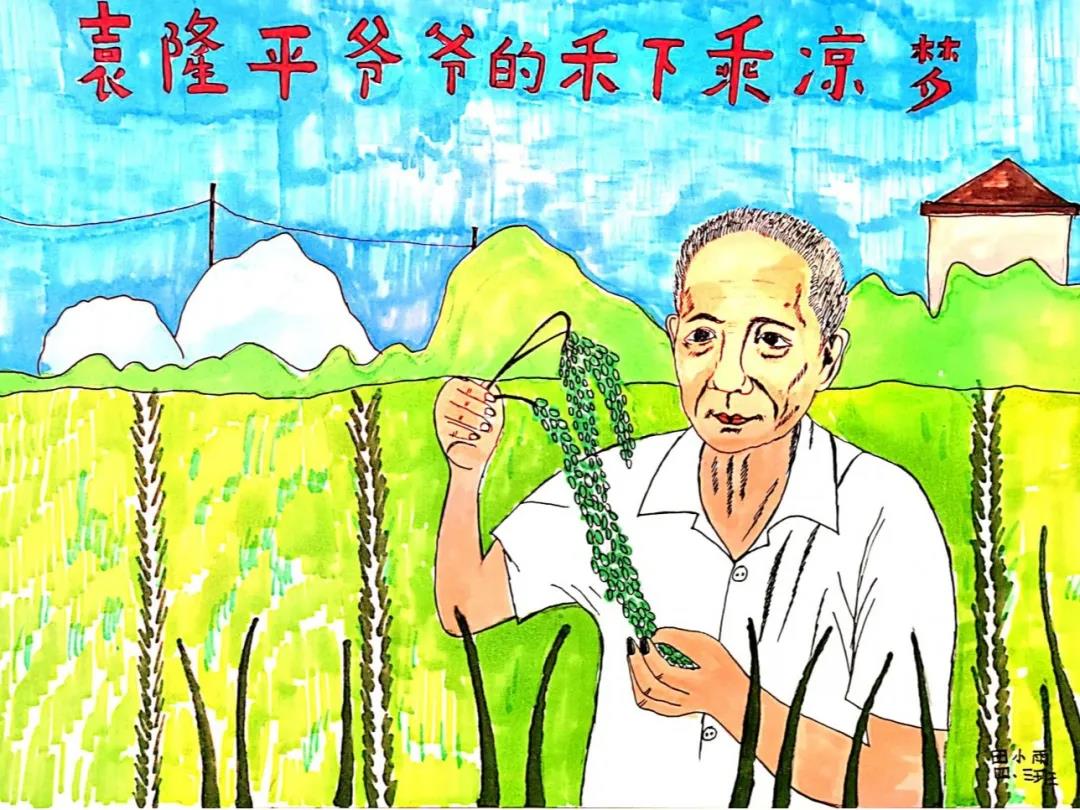缅怀袁隆平爷爷手抄报绘画-图7