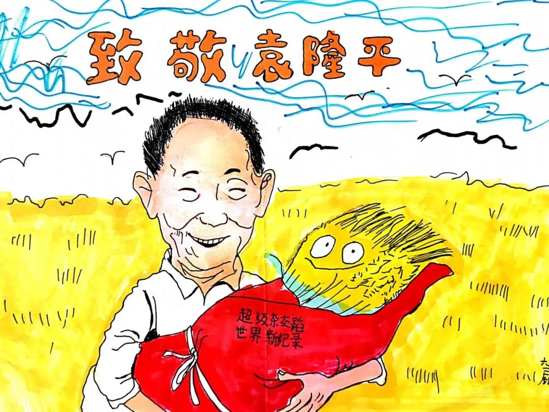 缅怀袁隆平爷爷手抄报绘画-图8