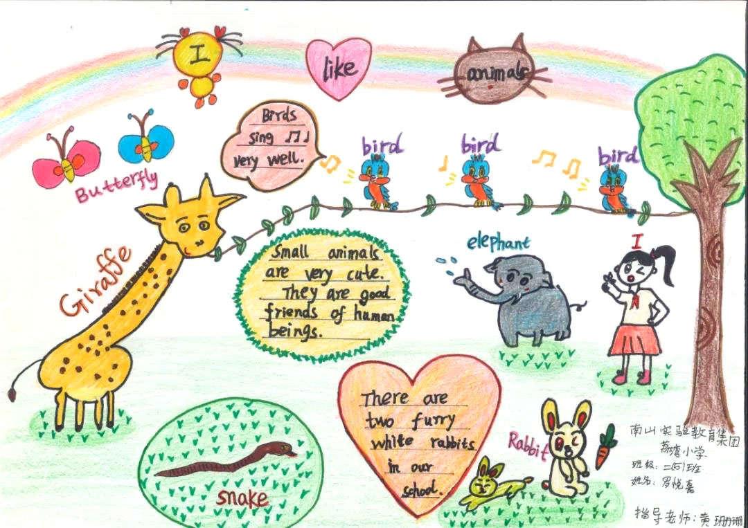 小学生保护动物英语手抄报-图4