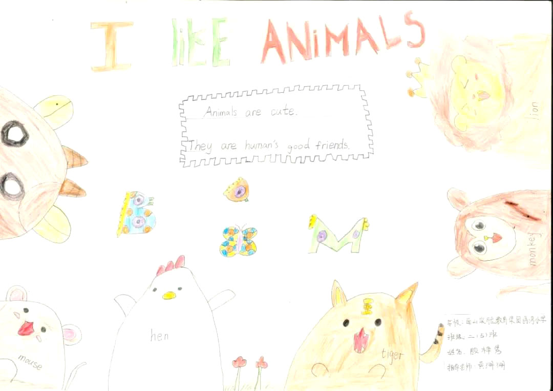 小学生保护动物英语手抄报-图7