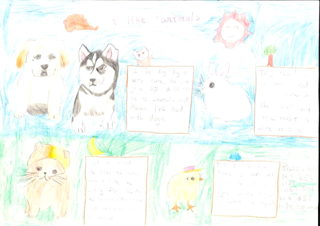 “I Like Animals”主题英语手抄报-图5