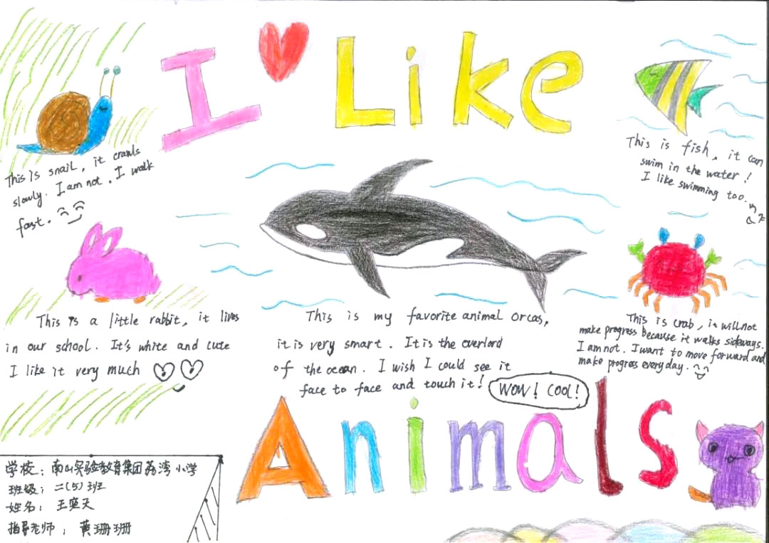 “I Like Animals”主题英语手抄报-图7