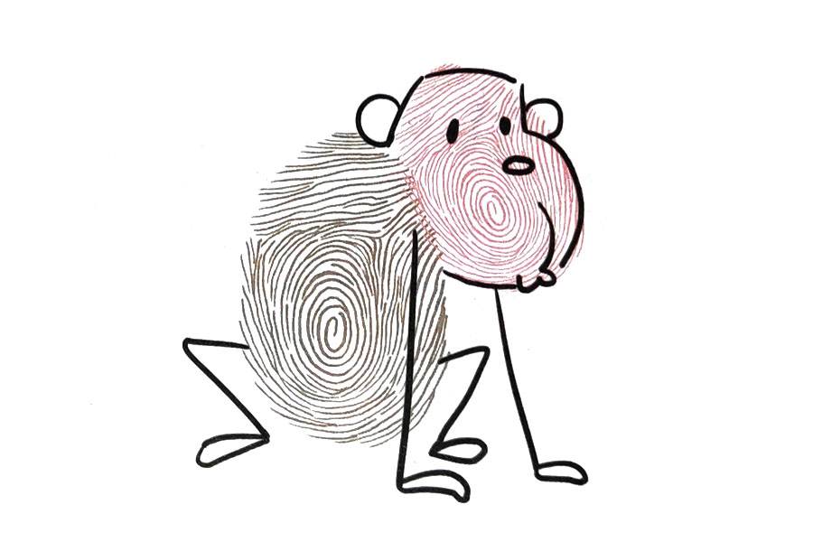 用手指画黑猩猩