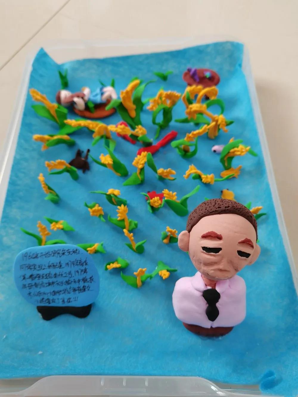 彩泥作品致敬拓荒人——袁隆平-图12