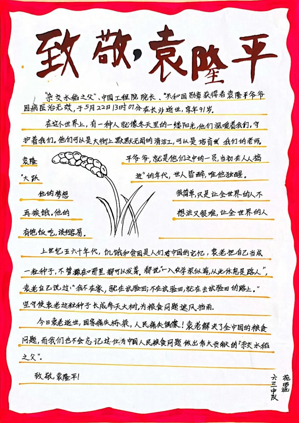 致敬袁隆平的作文（17篇）-图9